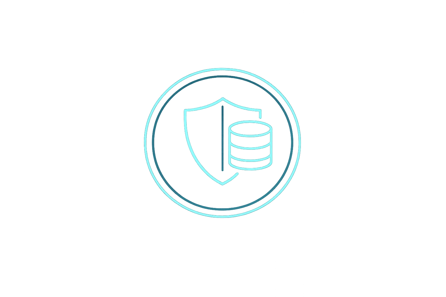 Icon Datensparsame Prüfung